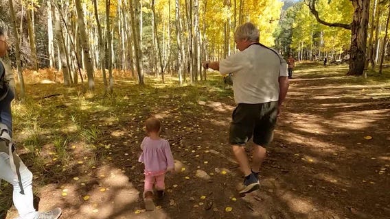 Fall foliage on display in northern Arizona