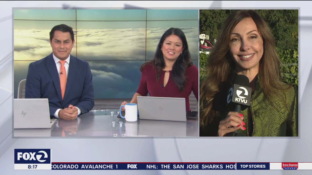 A beautiful mix of sun and fog for Sunday