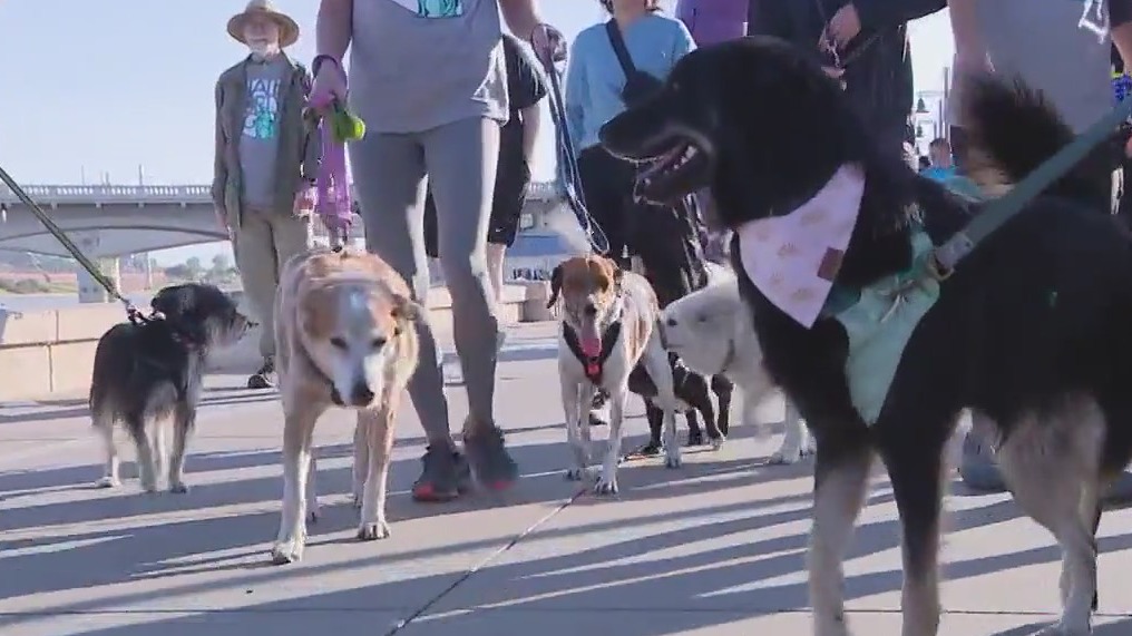 AAWL hosts 25th annual 'Walk to Save Animals' event