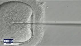 Congress debates federal IVF protections, fertility care