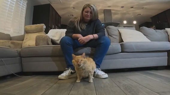 Cat owner faced with tough choice as vet bills increase