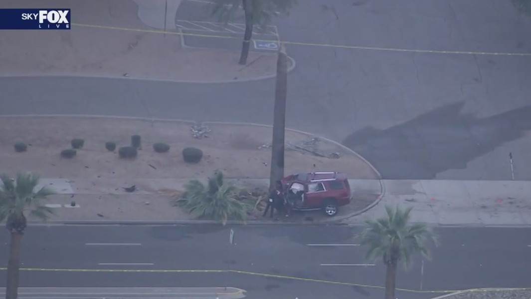 Driver crashes into palm tree in Goodyear | FOX 10 Phoenix