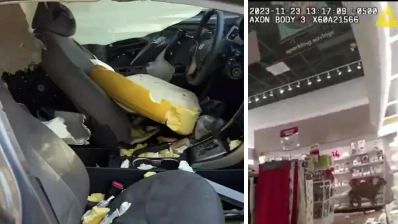 Caught on camera: Bear ransacks car; fawn trashes store