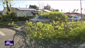 West Coast Wrap: March 14, 2024