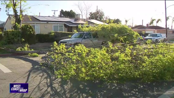 West Coast Wrap: March 14, 2024