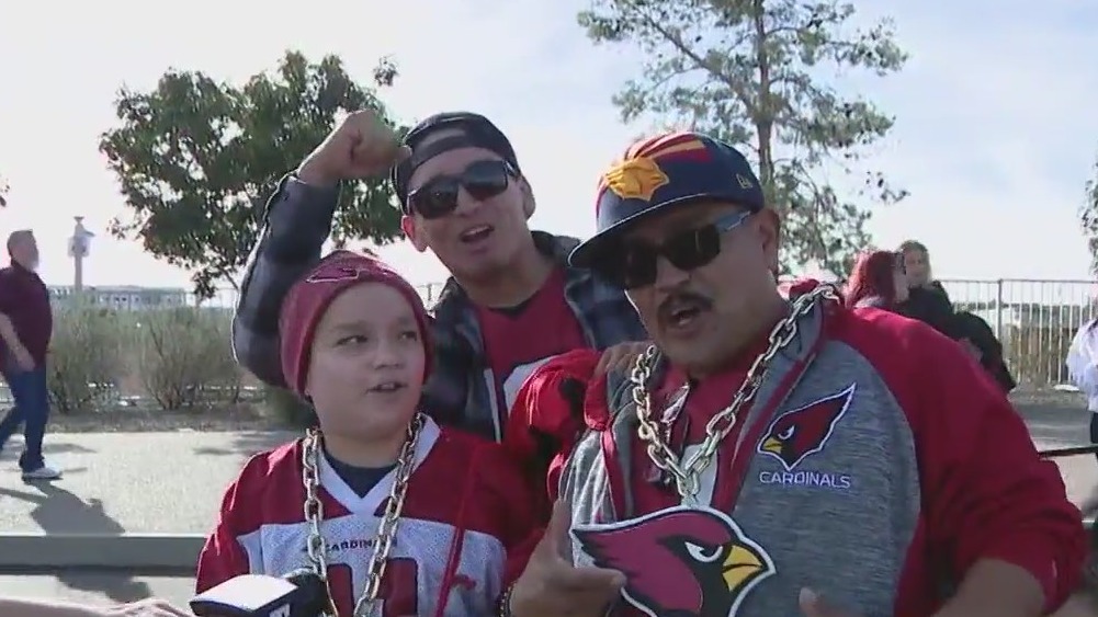 Cardinals fans cheer on team at home