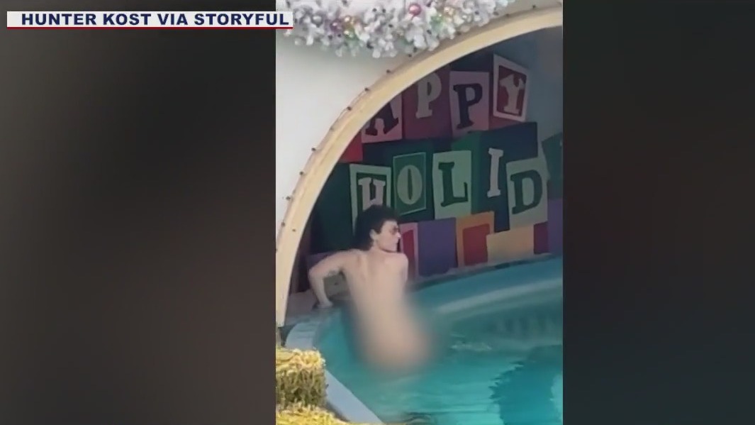 Disneyland streaker arrested after stripping down