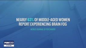 New online test aims to analyze brain fog causes and potential solutions