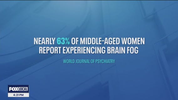 New online test aims to analyze brain fog causes and potential solutions