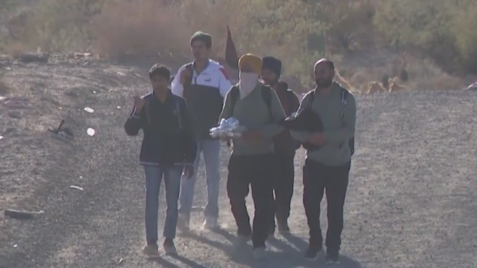 Background checks on asylum seekers