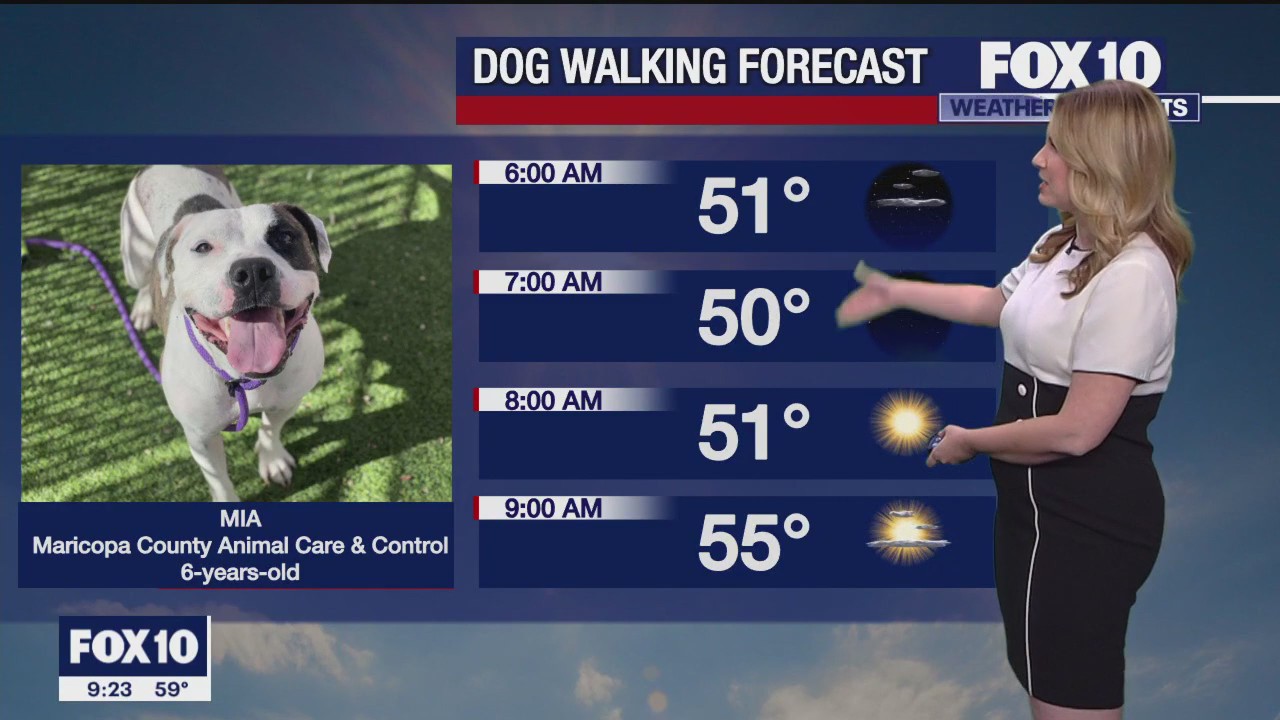 Evening Weather Forecast - 12/3/23
