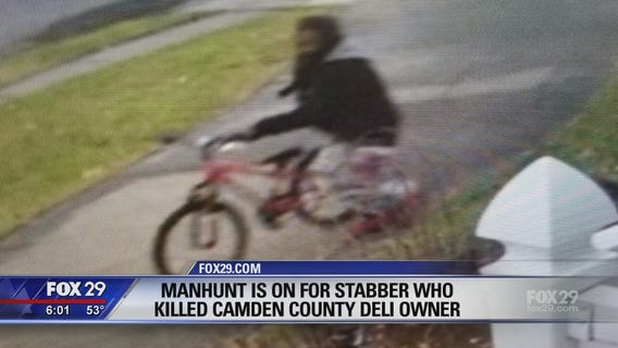 Deli owner fatally stabbed in Camden County