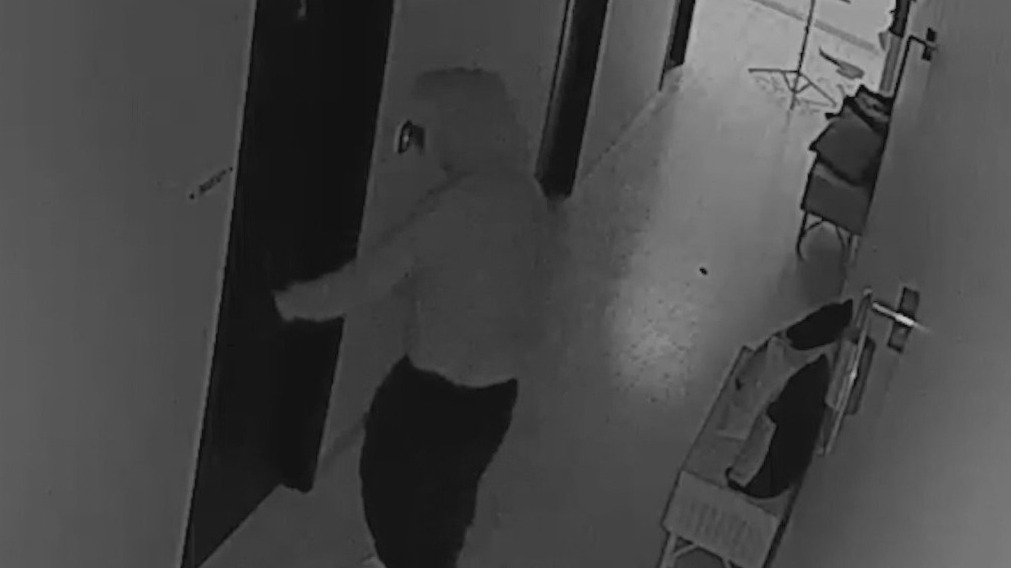 The Skin & Beauty Co. burglarized in Surprise