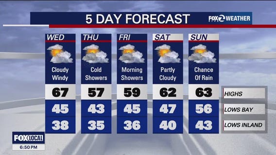 Showers in the forecast