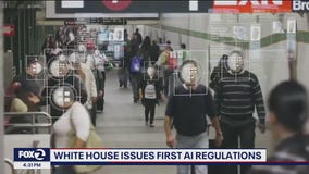 Artificial intelligence guardrails unveiled for federal agencies