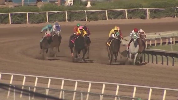 Horses return to Turf Paradise