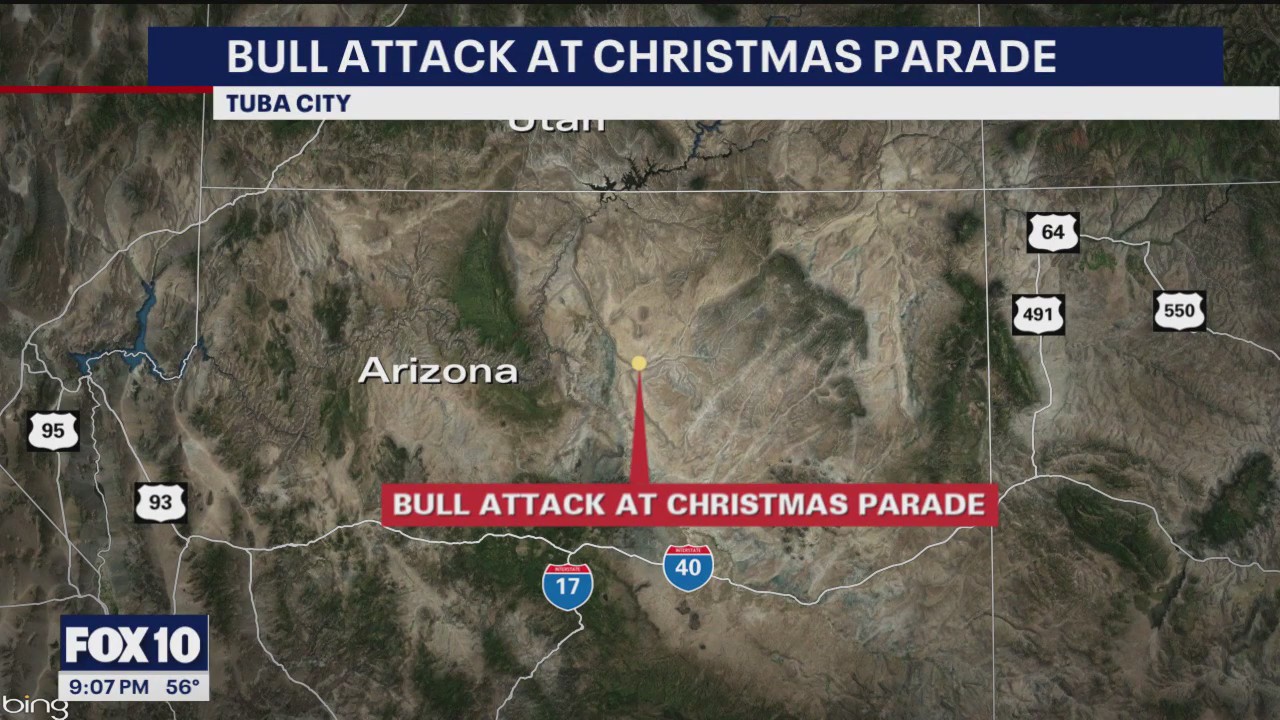 Bull gets loose during AZ holiday parade
