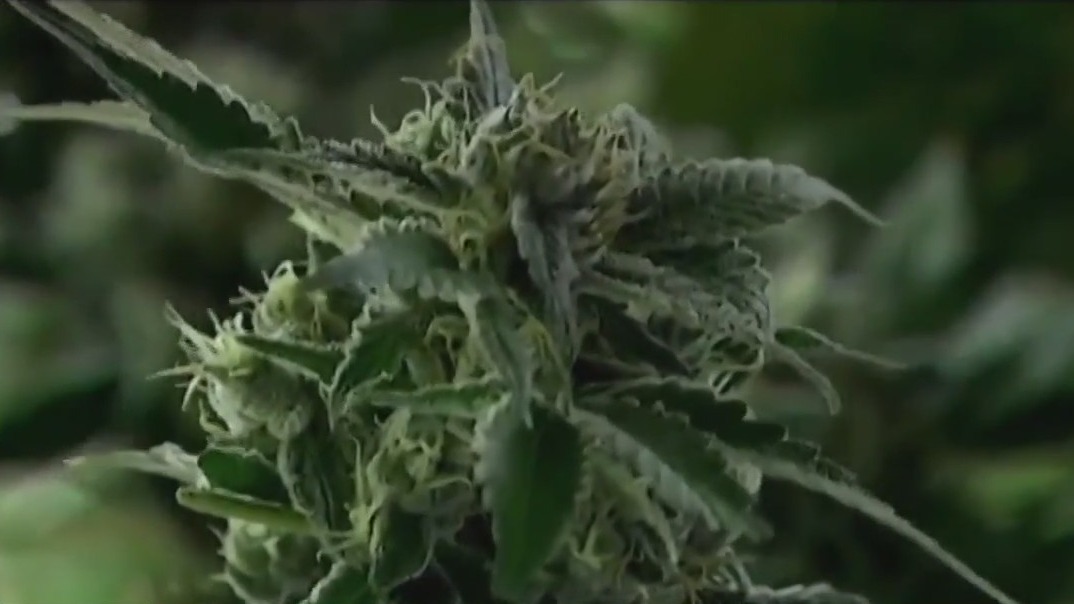 Biden grants clemency for some marijuana crimes