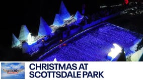 Winter Wonderland at Arizona park | Drone Zone