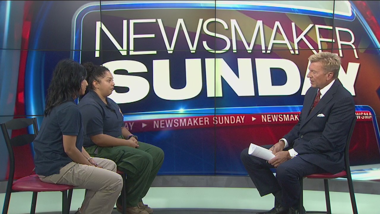 Newsmaker Sunday: Arizona wildfire season