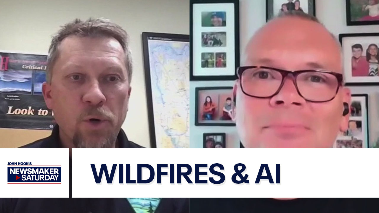 Wildfires & Artificial Intelligence | Newsmaker