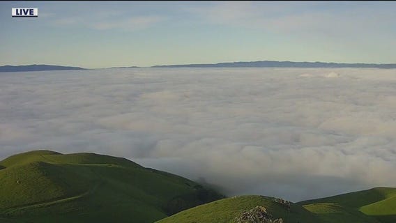 Light winds, mild temps