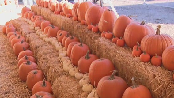 Halloween Town in Mesa