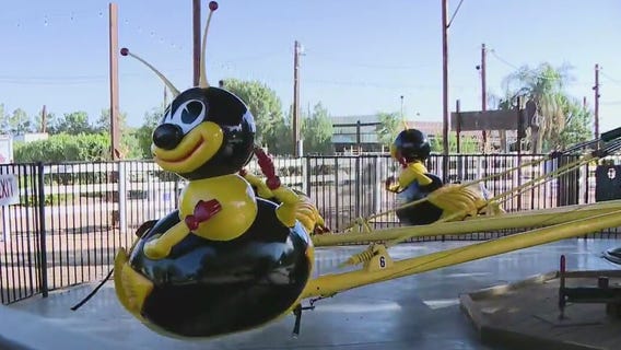 Pumpkin and Chili Party at Schnepf Farms