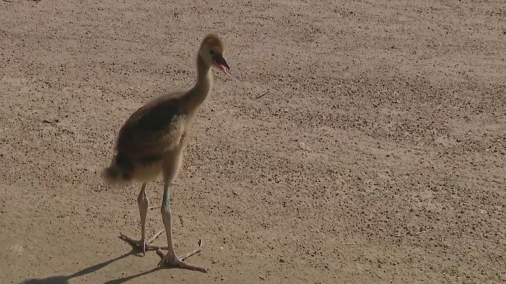 What's new at Wildlife World Zoo