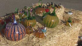 Carefree glassblowing studio selling glass pumpkins