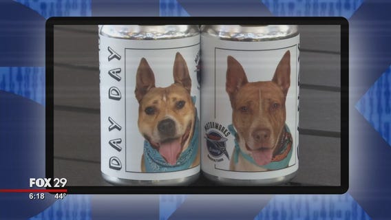 Click This: Minnesota woman sees long-lost dog's photo on beer cans promoting Manatee County shelter pups