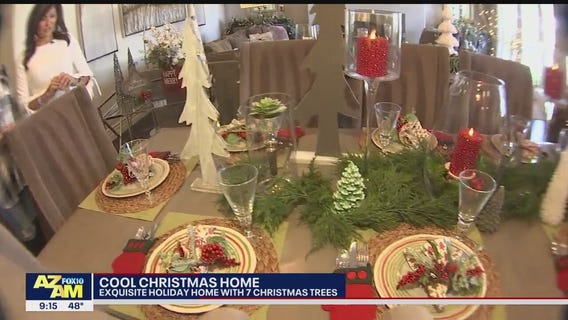 Cool House: Holiday home in Gilbert with 7 Christmas trees