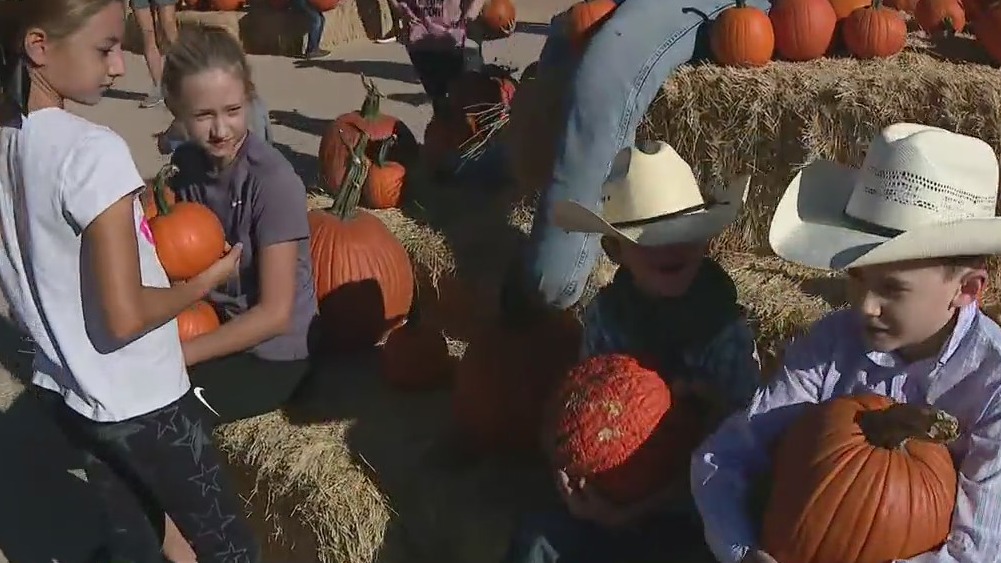 Fall fun at MacDonald's Ranch in Scottsdale