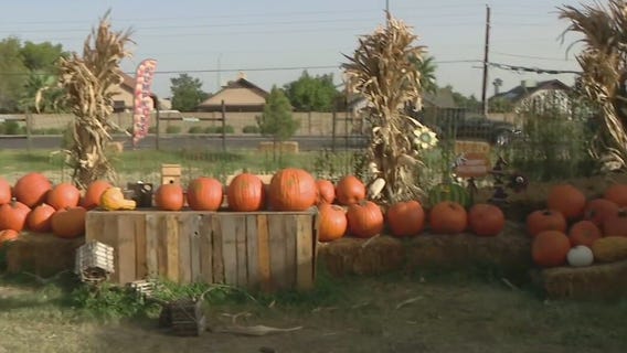 Fall fun at Mother Nature's Farm
