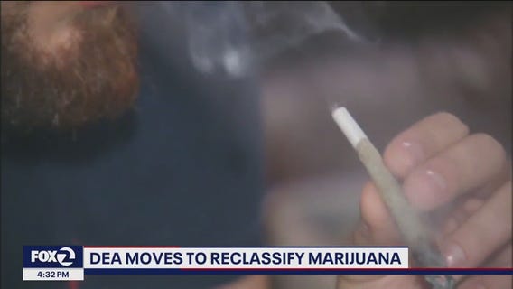 Marijuana could be reclassified as "less dangerous" drug in U.S.