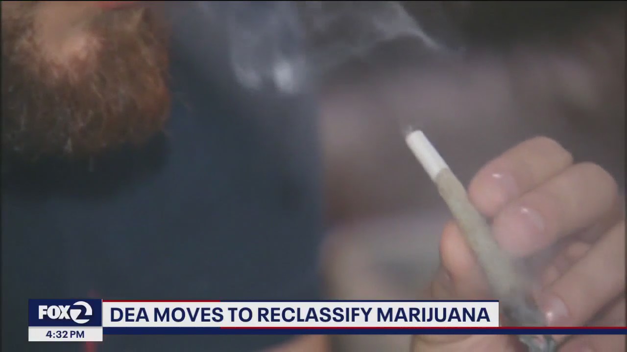Marijuana could be reclassified as "less dangerous" drug in U.S.