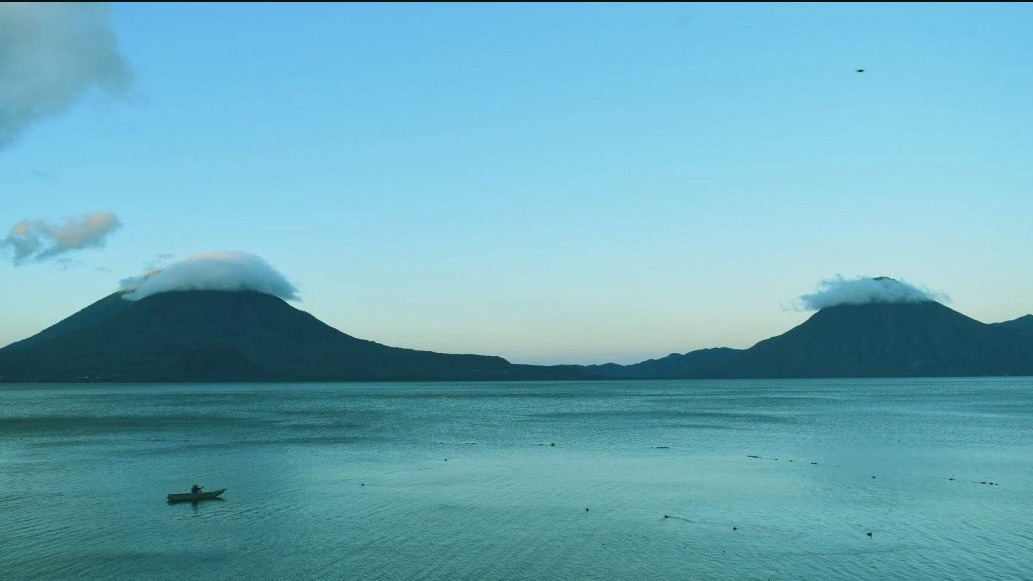 Earth Island Institute