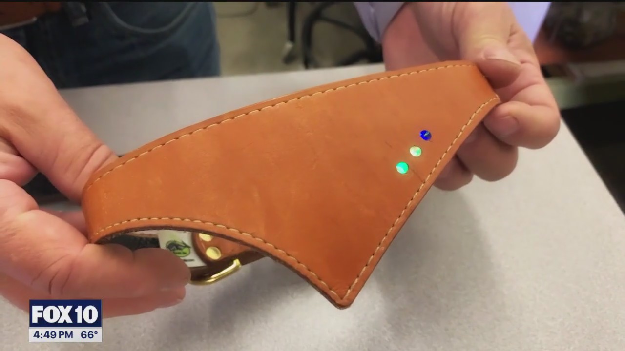 Shark Fin Gear Company | Made in Arizona