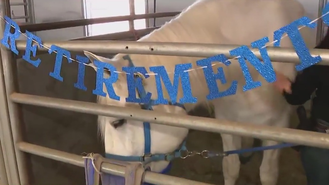 Scottsdale Police horse Zeus is retiring