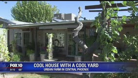 Cool House: Urban Farm in Central Phoenix
