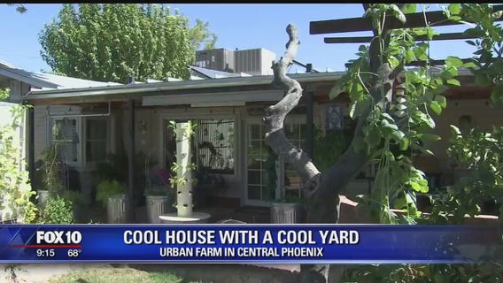 Cool House: Urban Farm in Central Phoenix
