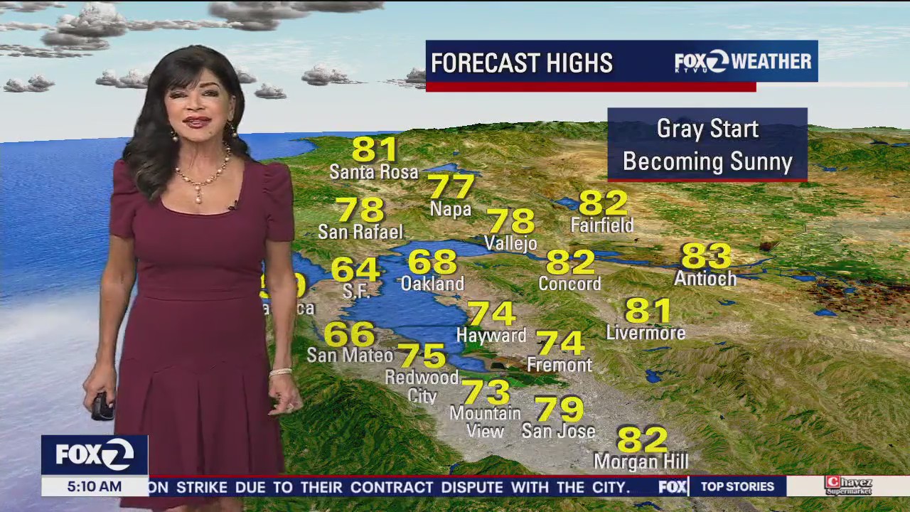 Gray start, sunny afternoon