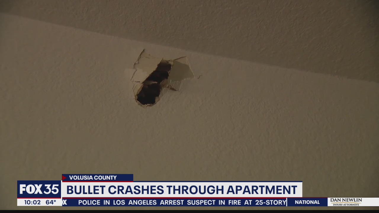 Report states officer fired shot into apartment below him