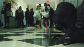 Hobbs releases guidelines for ESA voucher program