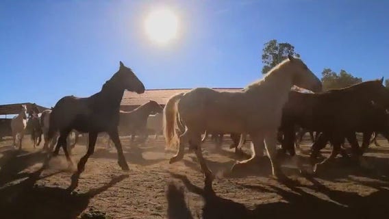 Rancho de los Caballeros: Your next Arizona getaway