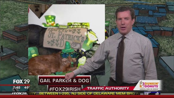 Gail Parker and Her Dog Ready for the St. Patrick's Day Parade