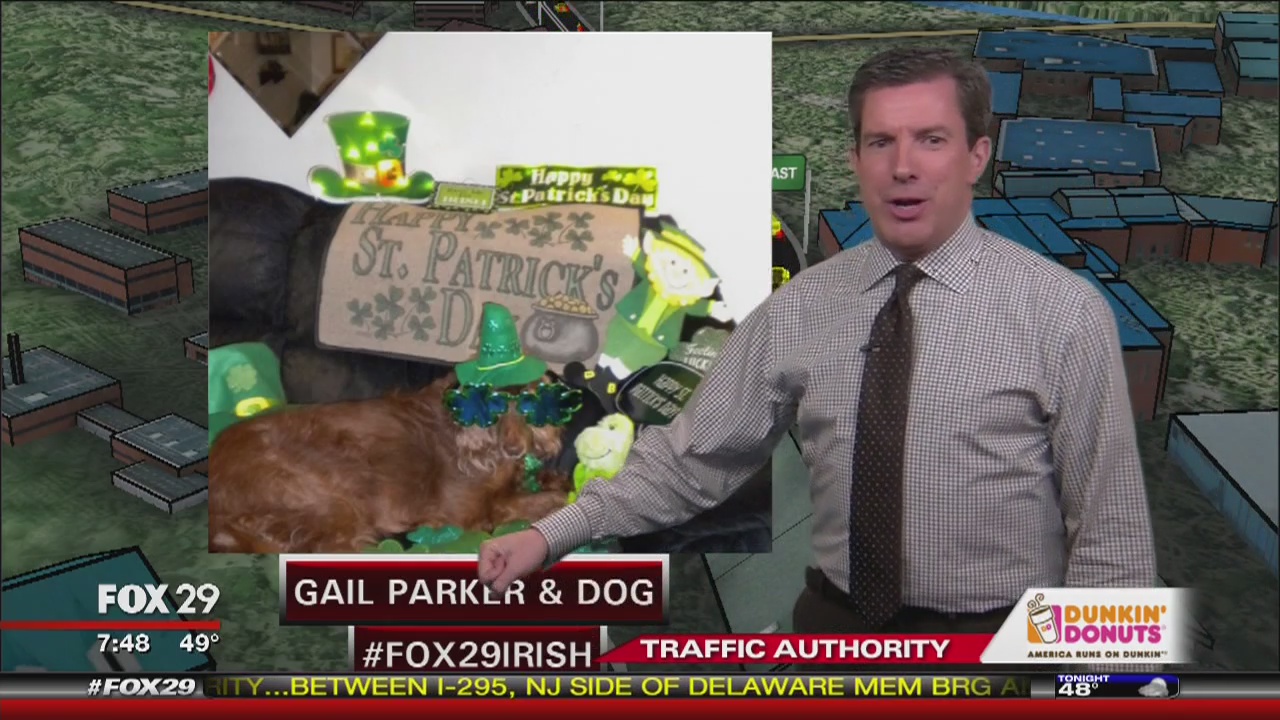 Gail Parker and Her Dog Ready for the St. Patrick's Day Parade