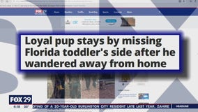 Click This: Family dog protects boy, 3, lost in Florida woods until police arrived