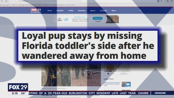 Click This: Family dog protects boy, 3, lost in Florida woods until police arrived