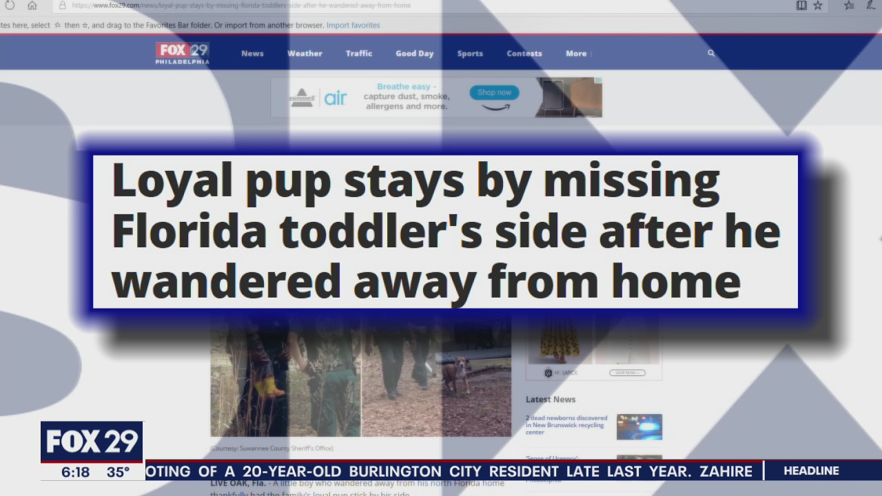 Click This: Family dog protects boy, 3, lost in Florida woods until police arrived